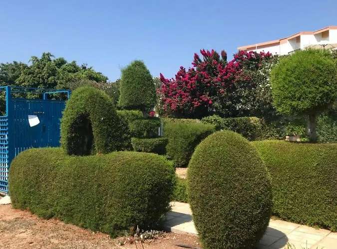 アパート 2 Bedroom Apartment-mediterranean Type