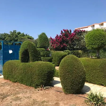 Апартаменты 2 Bedroom Apartment-mediterranean Type